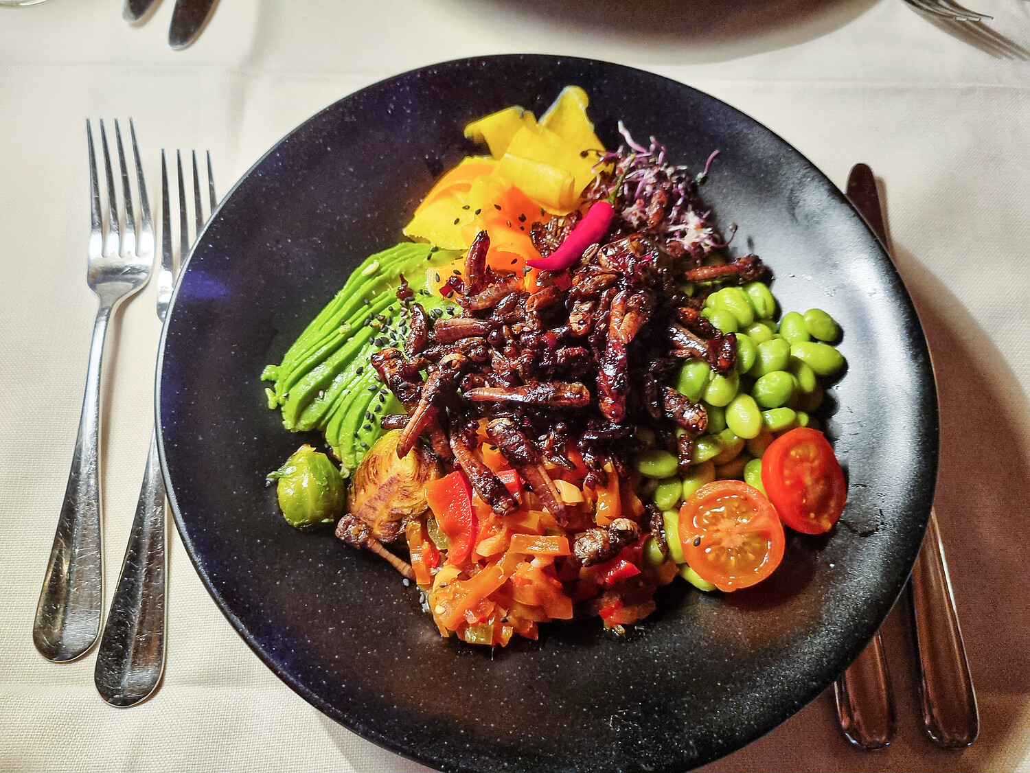 Vorspeise: Heuschrecken und Grillen Bowle mit etwas Gemüse, Chili und Sojasauce 
