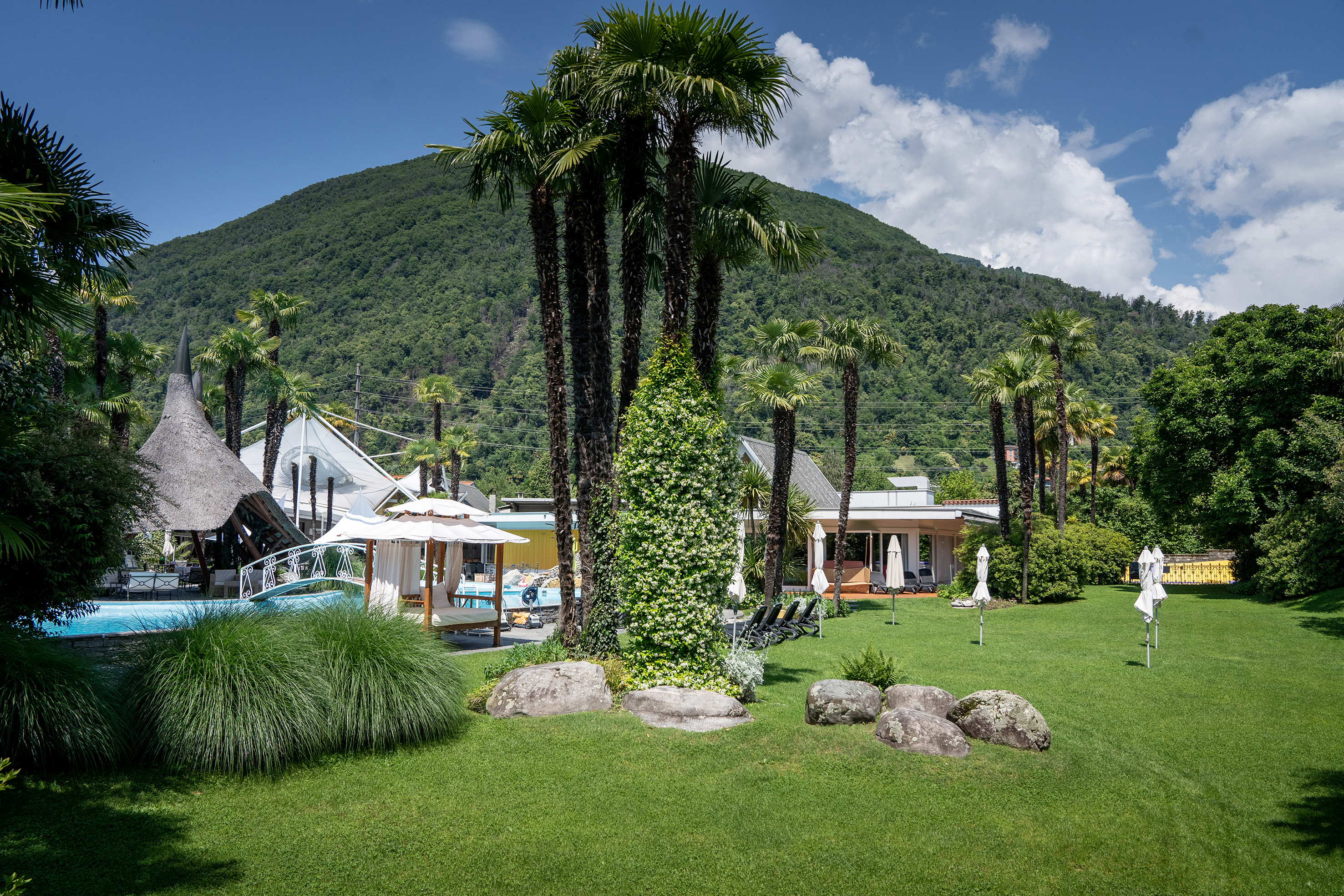 Palmen, die in den Himmel wachsen: Der Hotel-Palmenpark des Albergo Losone ist der grösste der Schweiz.