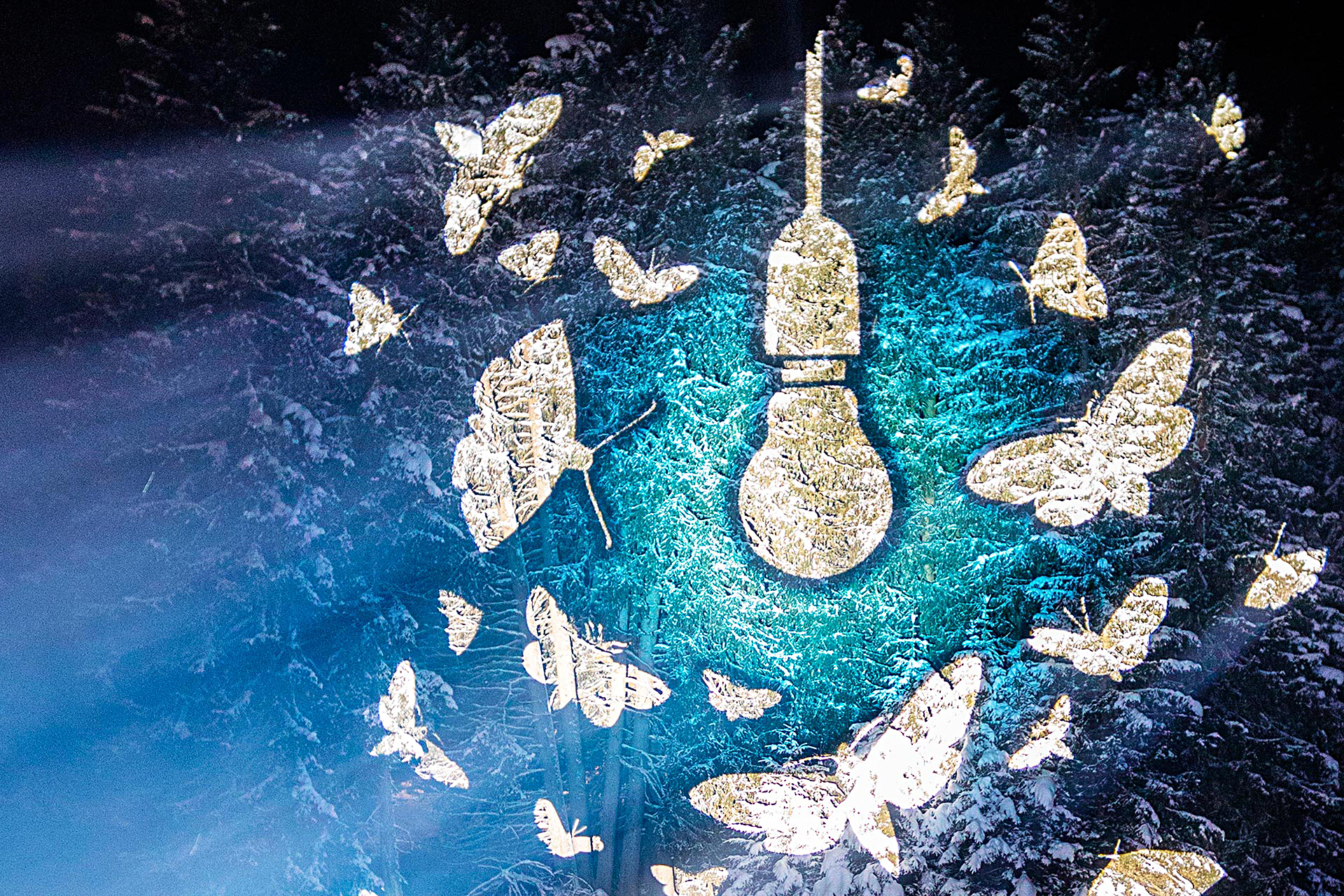 Lichtkünstlerin: L. PaterliniWerk: Wie die Motte dem LichtFoto: Cemil Erkoc