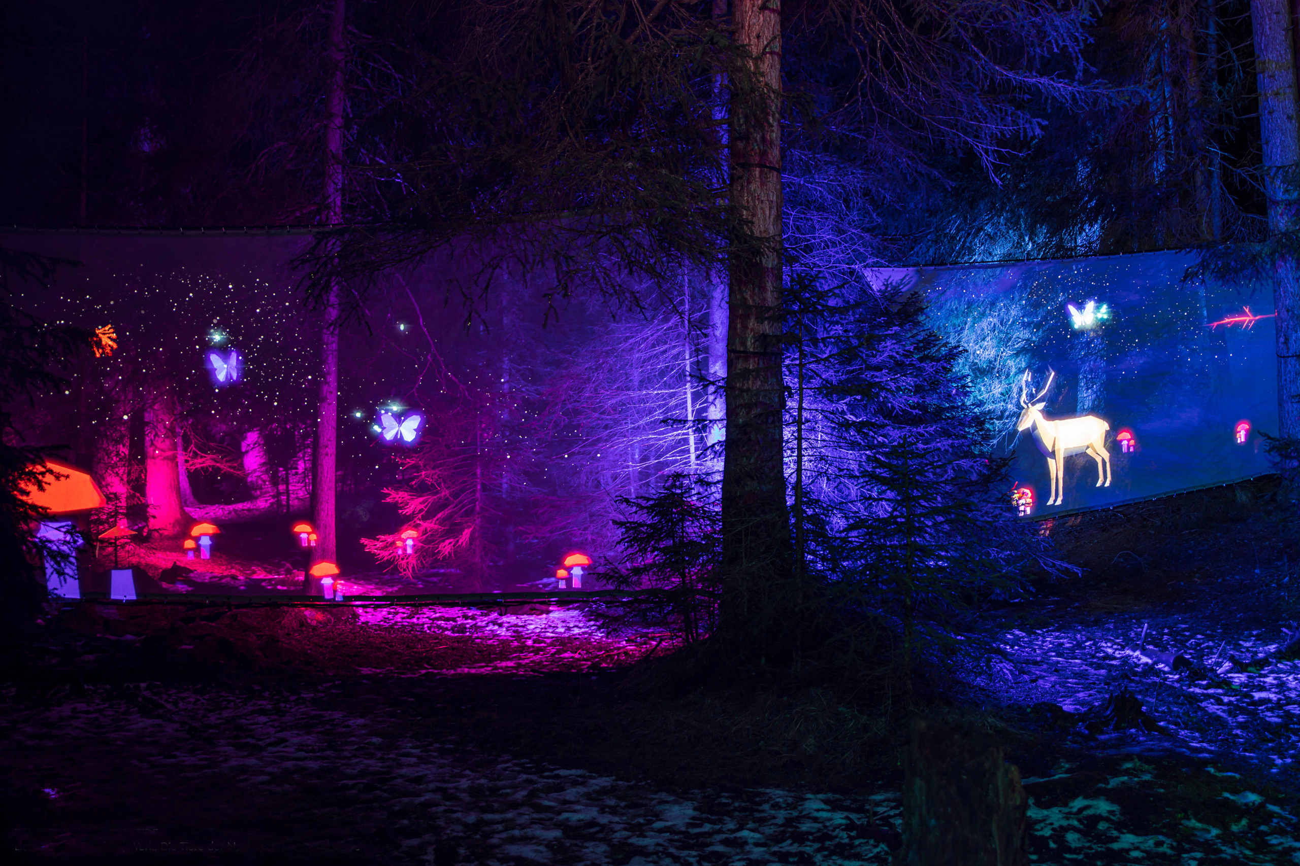 Lichtkünstler: CrealuxWerk: Die Tiere der NachtFoto: Cemil Erkoc