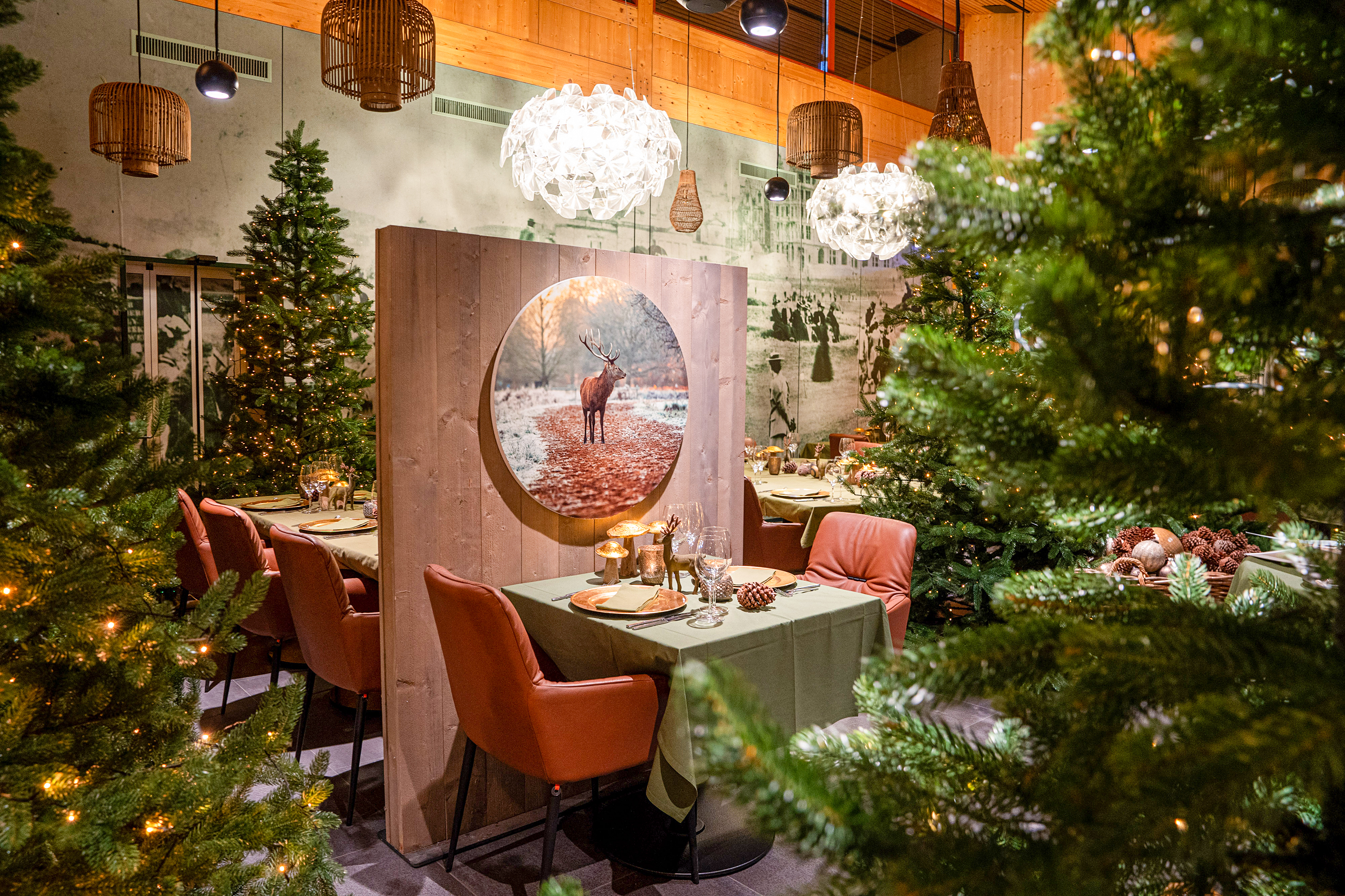 Schon seit vielen Jahren begeistert der Golfpark Waldkirch im November und Dezember die Gäste jeweils mit seinem Weihnachtswald.