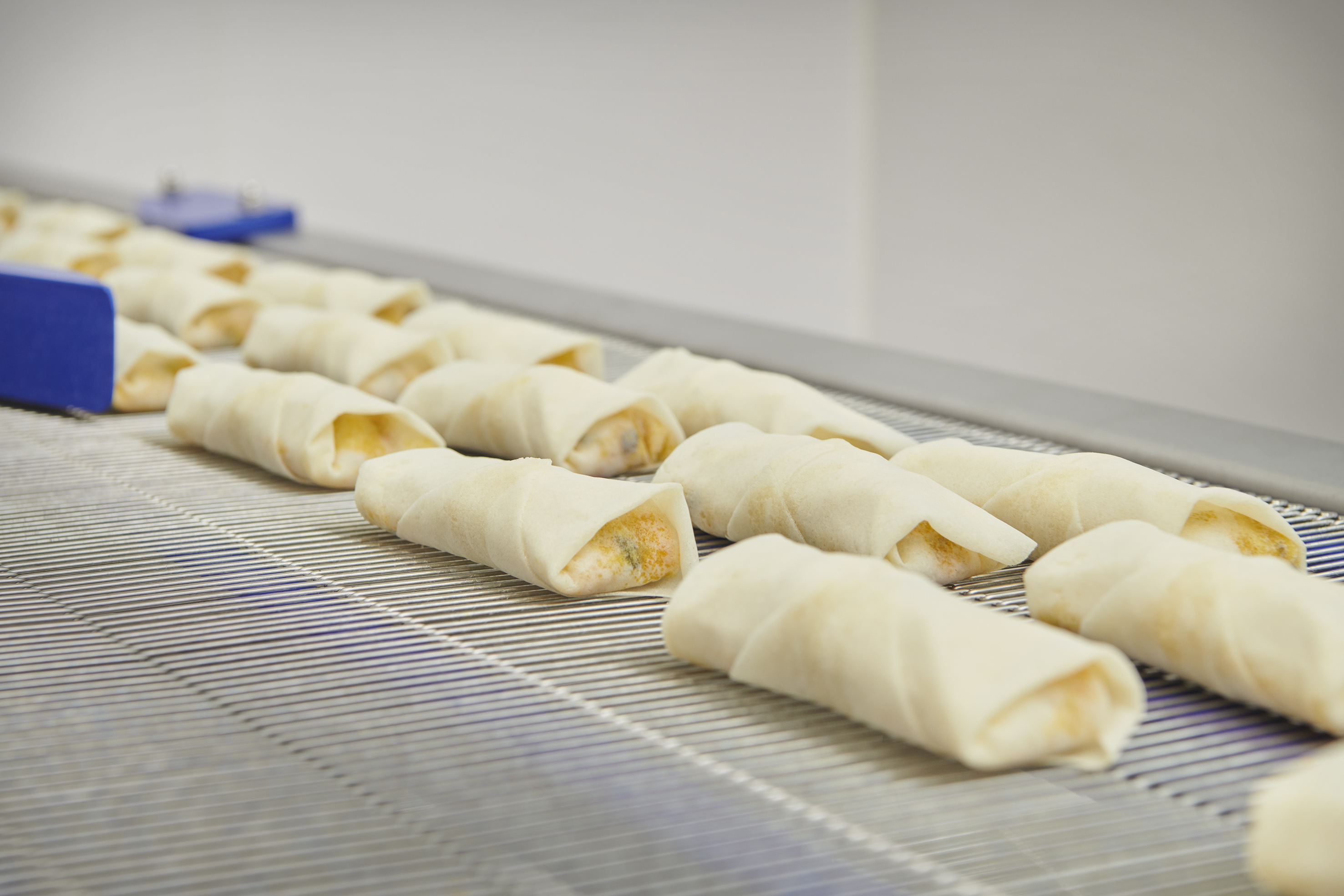 Rund 10 Millionen Schweizerfranken investierte die Kadi AG in die Produktionserweiterung für Frühlingsrollen am Standort Langenthal.