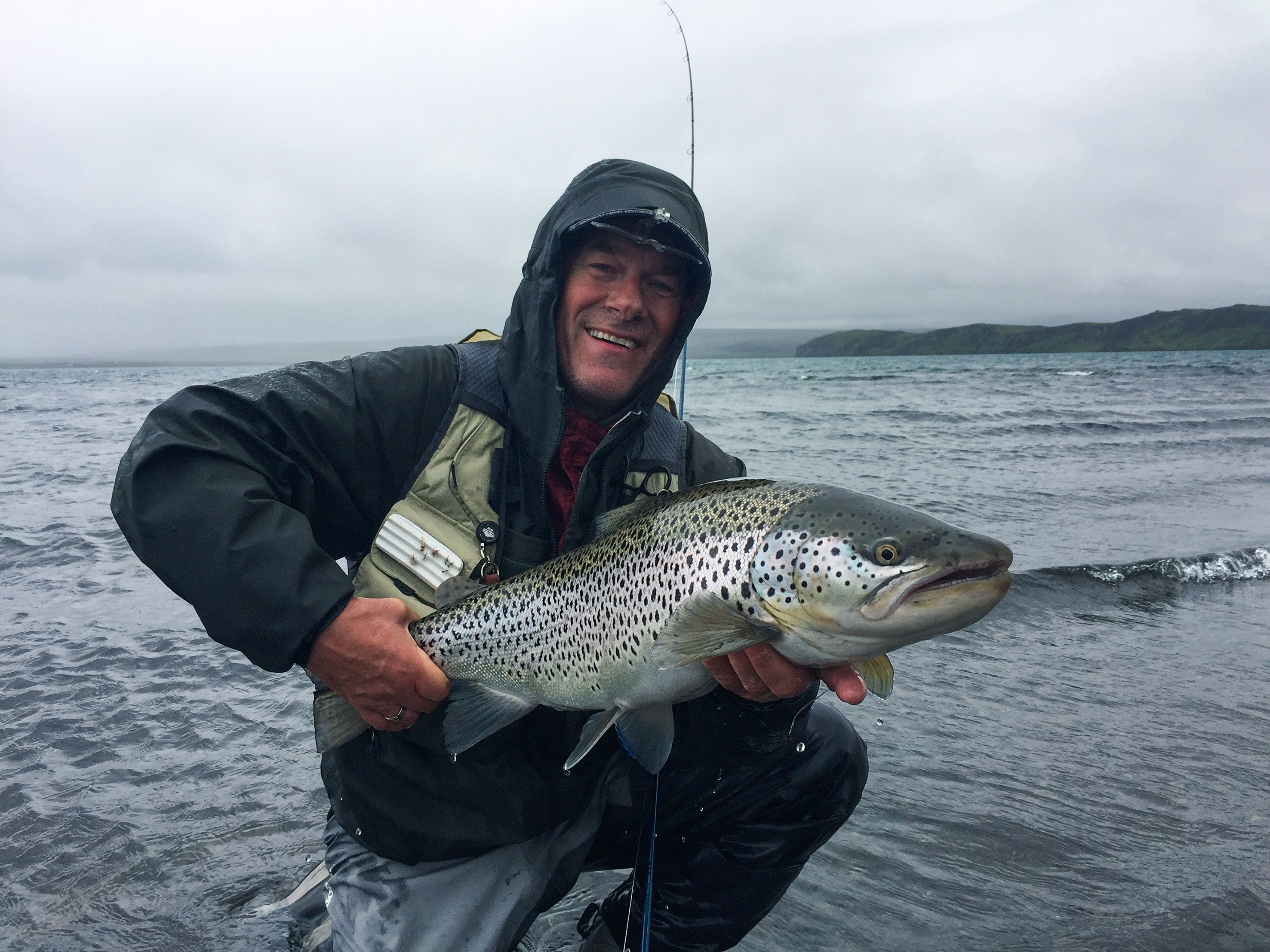 Eine prächtige Forelle aus dem Pingvallavatn, einem See im Südwesten Islands.