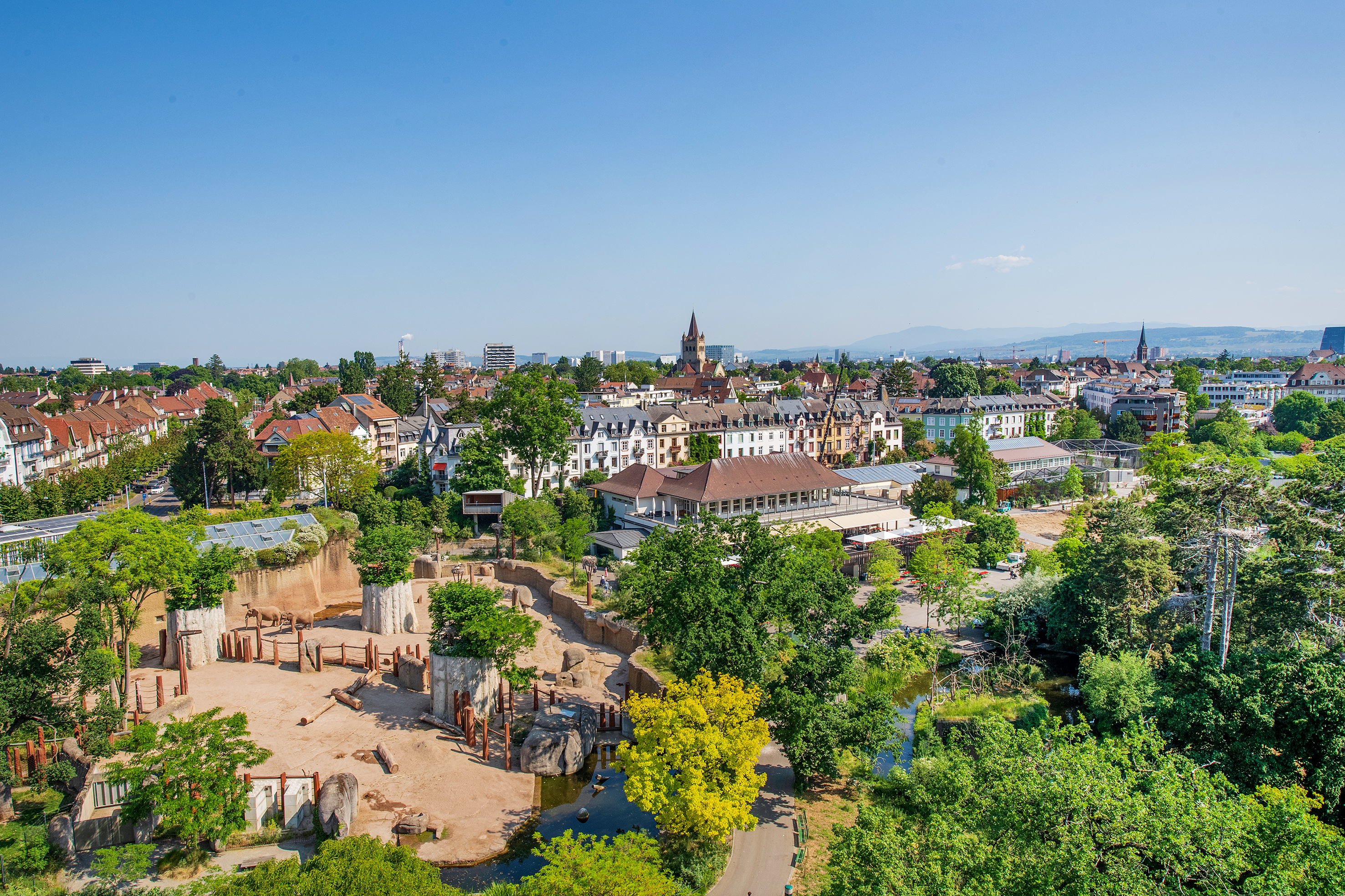 Die Gartengestaltung entstand in den 1950er-Jahren und lässt den Zoo Basel grosszügiger erscheinen, als er ist. Sein Areal mitten in der Stadt ist auf 12 Hektaren Fläche beschränkt.