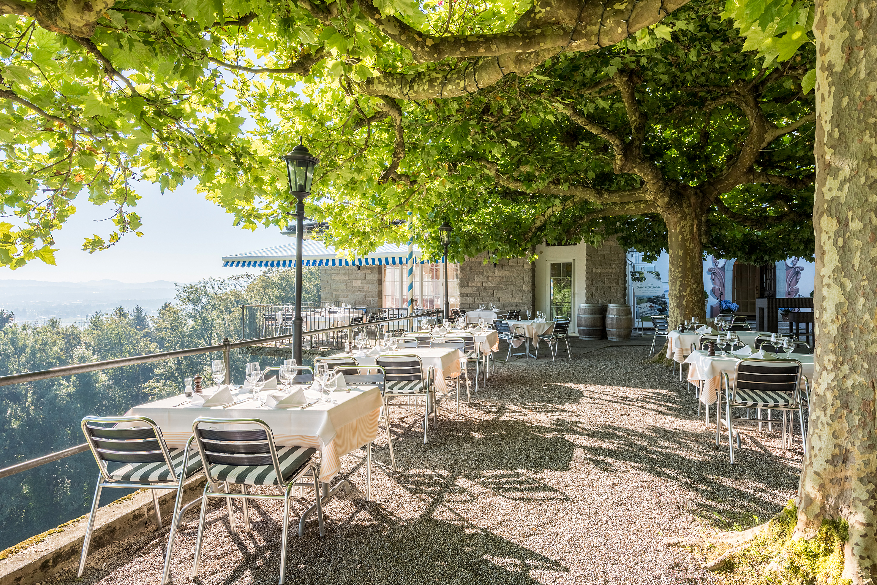 Im Geniessergarten spenden im Sommer Platanen einen angenehmen Schatten.
