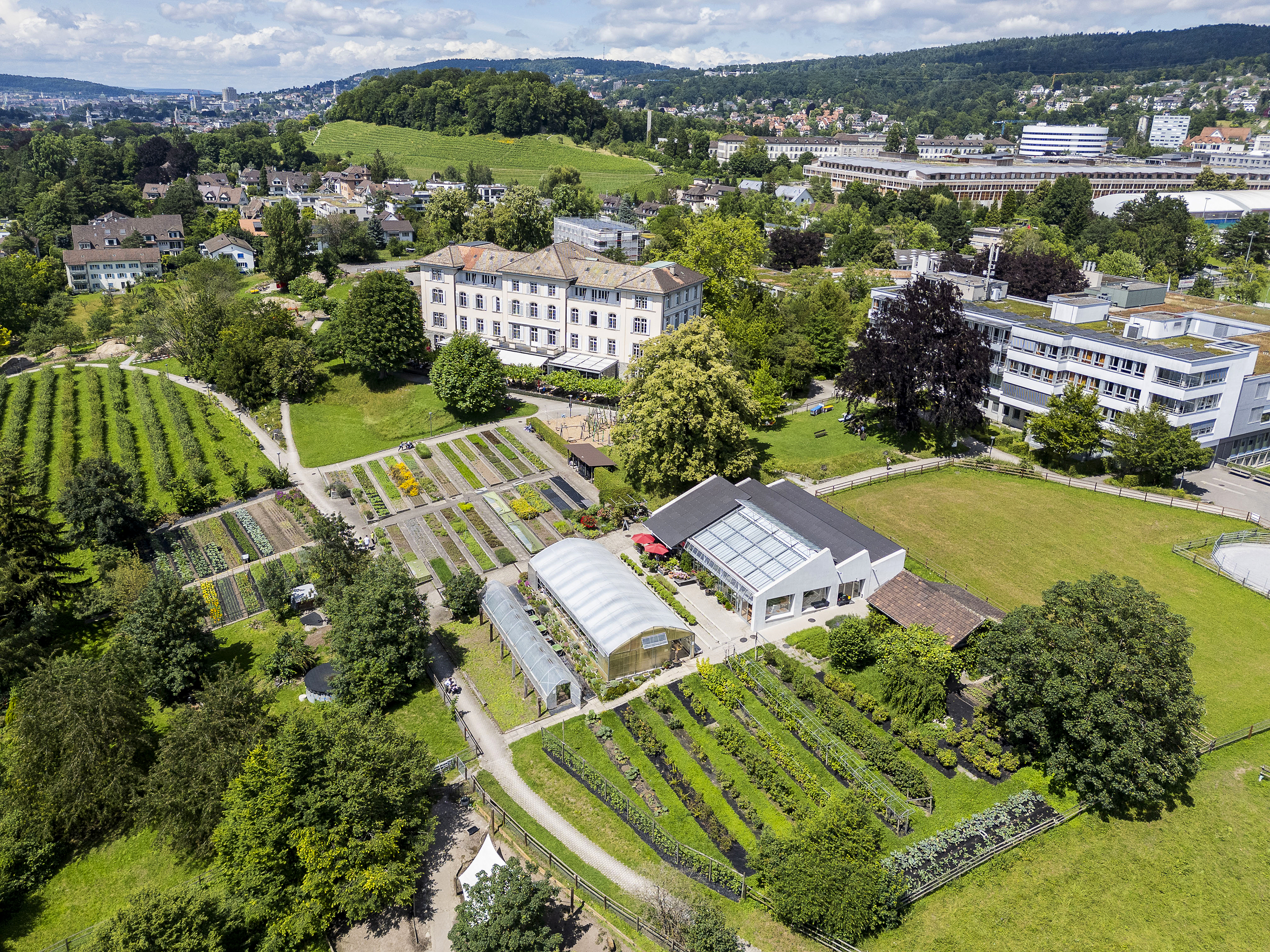 Auf einer Fläche von 17 Fussballfeldern befinden sich rund 50 Gebäude. Elektrofahrzeuge legen für die Mahlzeitenlieferungen täglich 14 Kilometer zurück.