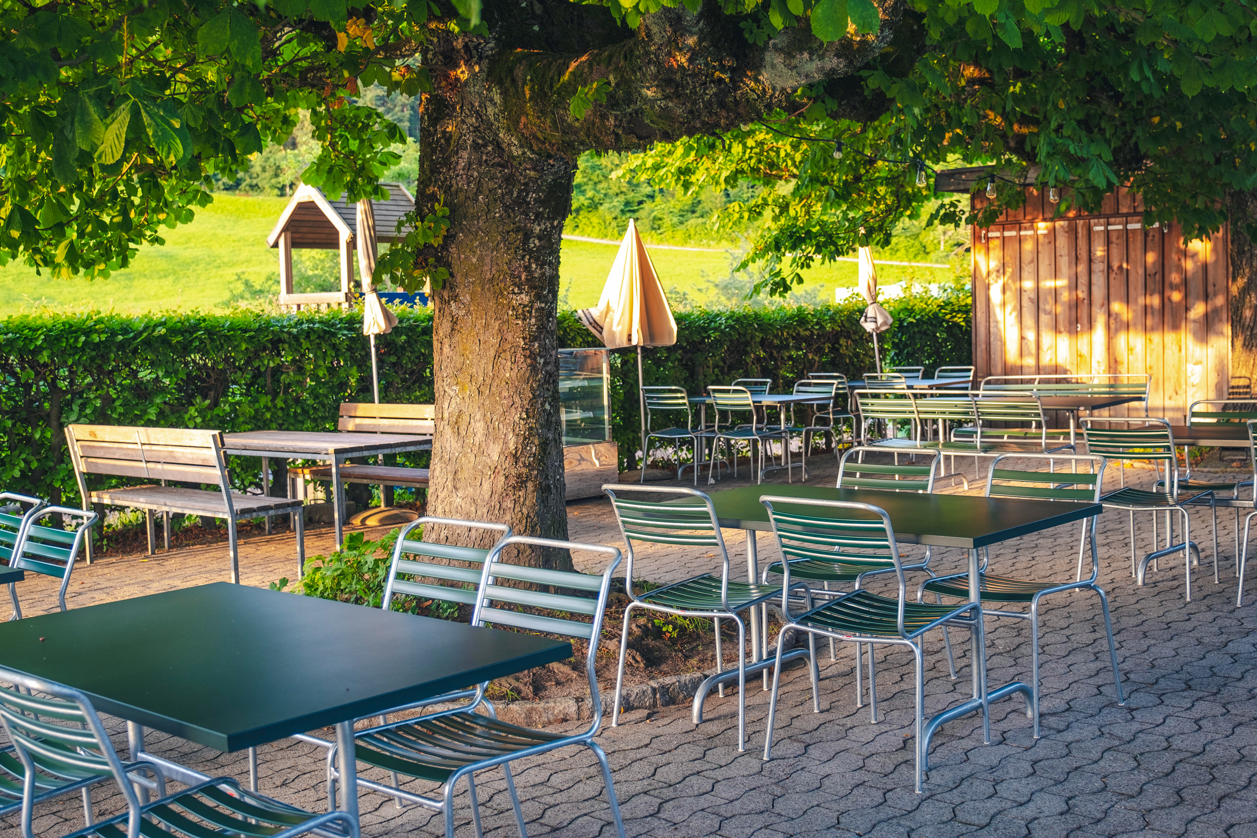 Unter grossen Kastanienbäumen geniessen die Gäste im Sommer kühle Getränke und feine Speisen.