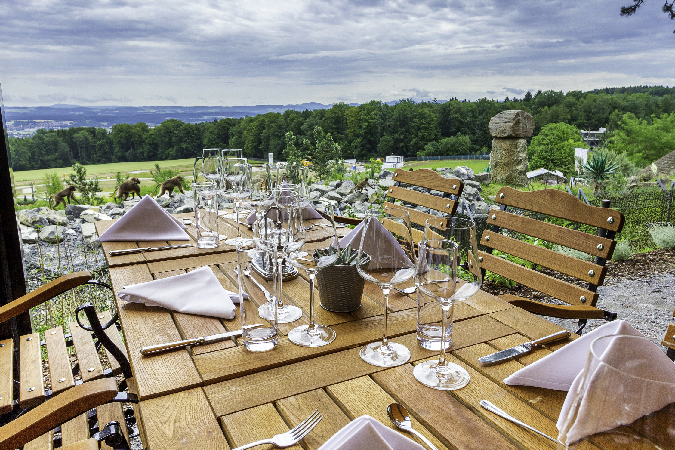 Zoo Restaurants GmbH,  Zürich.