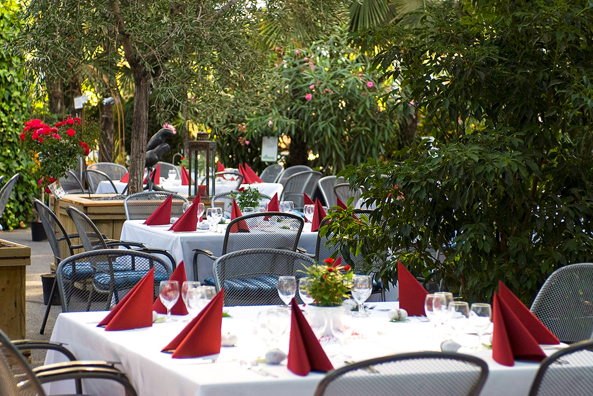 Zulauf Gartencenter AG, Schninznach-Dorf.