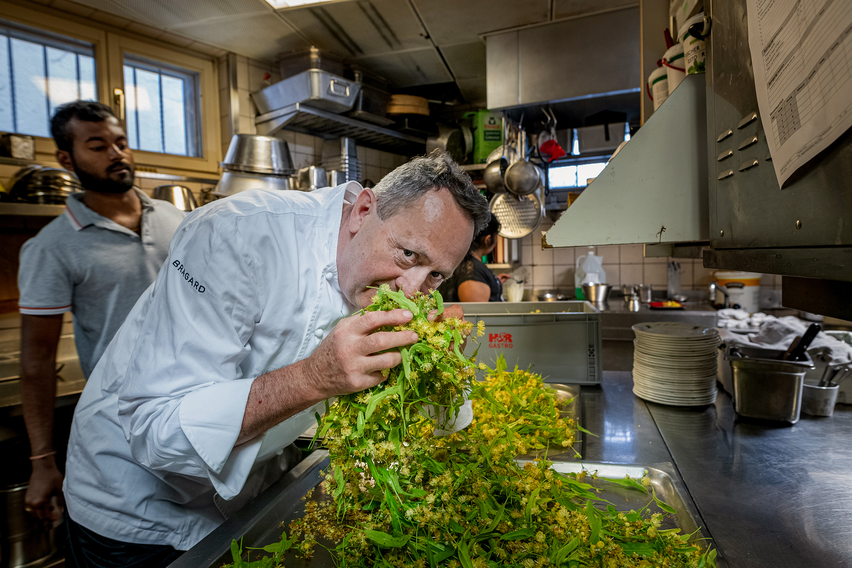 Vom Garten direkt in die Küche. Heute hat Richard Stöckli die Lindenblüten vom Baum geholt. Wie das duftet!