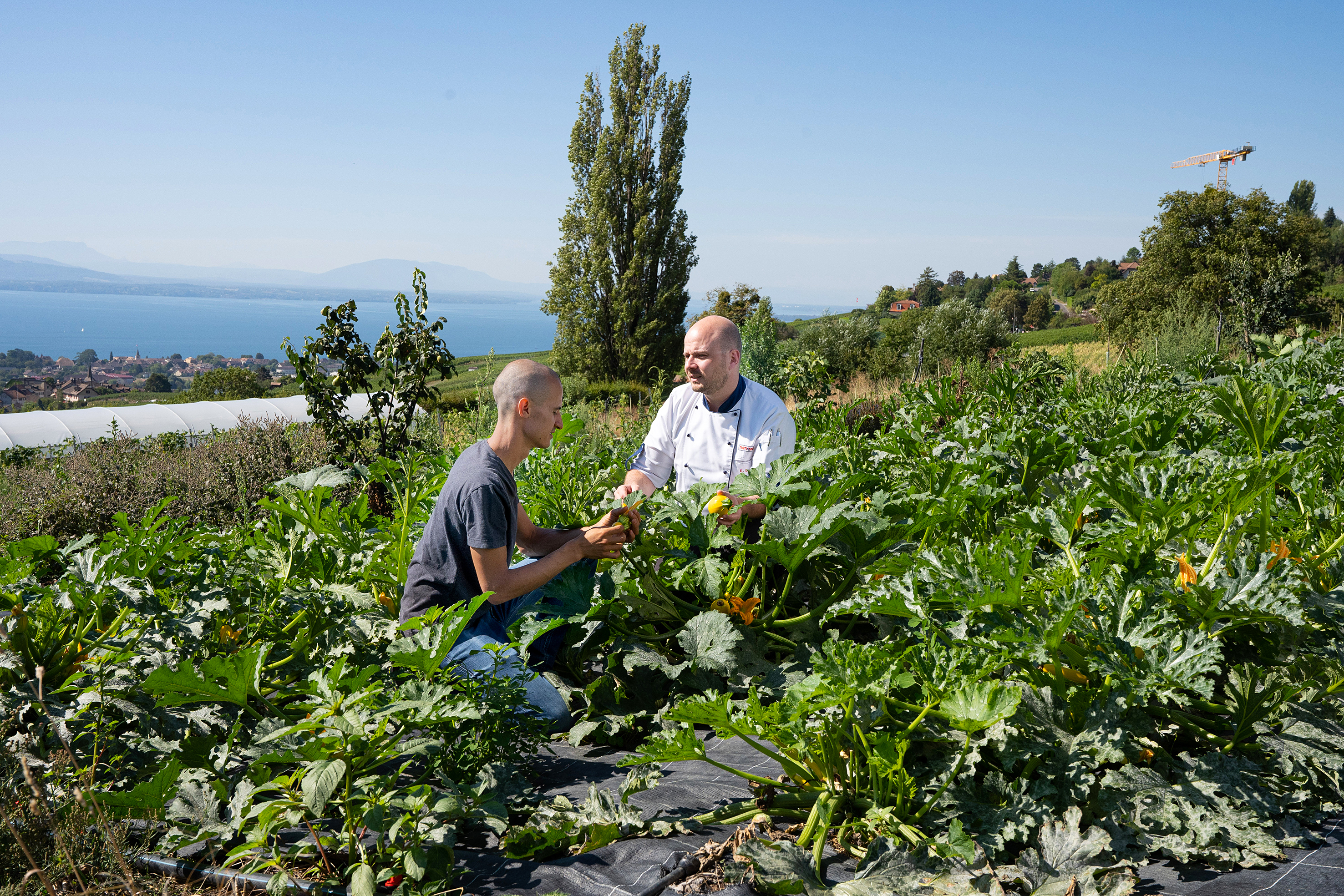 Vom Feld in den iCombi und iVario von Rational: Raphaël Gétaz, Koch und Landwirt, erklärt Ehrhard Busch, Corporate Chef bei der Rational Schweiz AG, das Konzept der bio-dynamischen Landwirtschaft.